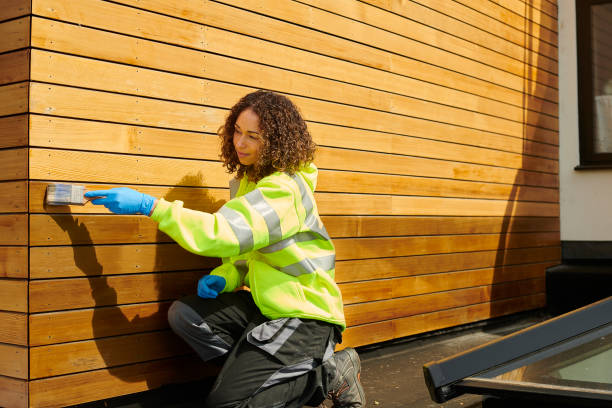 Best Storm Damage Siding Repair  in Quitman, MS